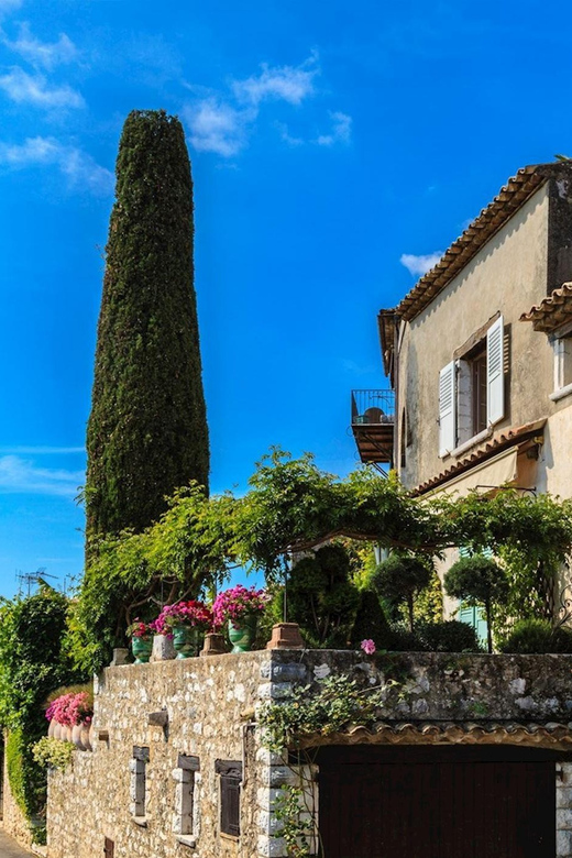 Private Customized French Riviera Tour from Port Villefranch - How the price works for your group