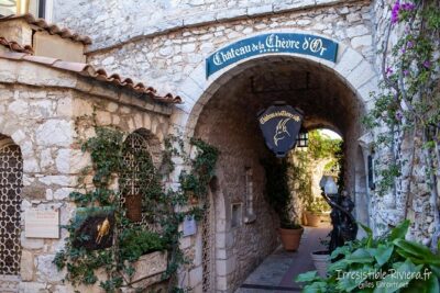 Private Customized French Riviera Tour from Port Villefranche 6H