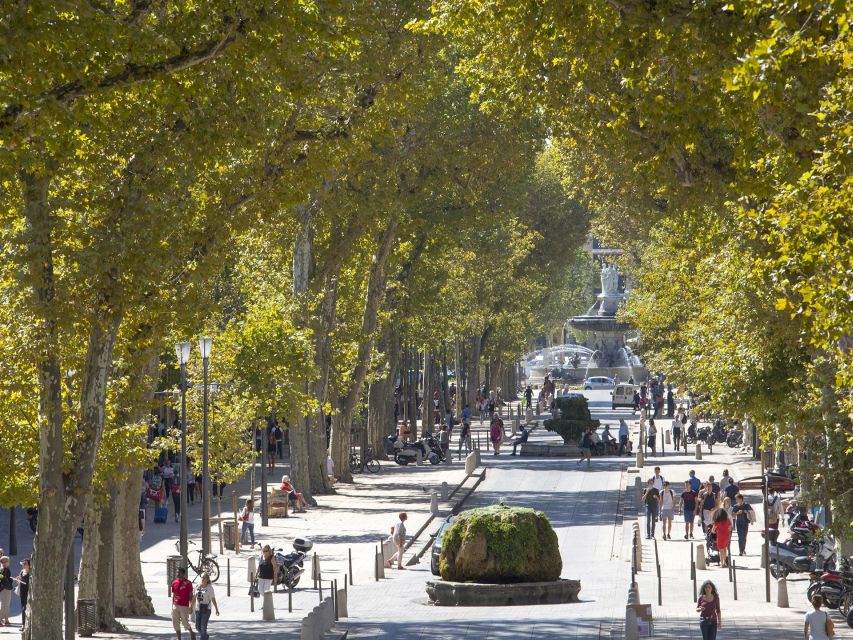 Private Day Trip to Provence and Lavender Fields - Sainte-Maximin and the Basilica Sainte-Marie-Madeleine