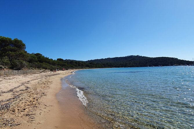 Private full-day boat trip to Porquerolles - Key points at a glance
