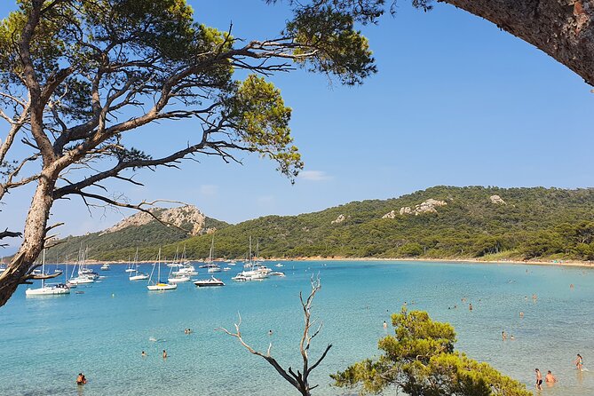 Private full-day boat trip to Porquerolles - Choosing swimming, snorkeling, and paddleboarding stops