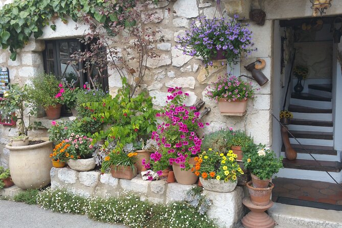 Private Full-day French Riviera and Hilltop Villages Tour - What guide Guy adds to the day