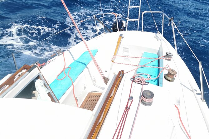 Private sailing excursion & Provencal picnic - Who Should Book This Cannes Sailing Trip