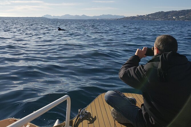 Private Solar Catamaran Cruise in Antibes Juan les Pins - Choosing between morning, afternoon, and sunset