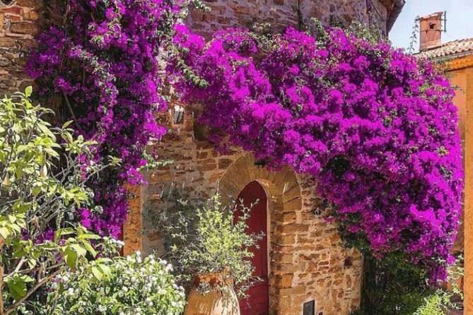 Private Tour from Saint-Tropez to the flowers city - Why this route works from Saint-Tropez