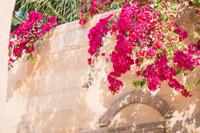 Private Tour from Saint-Tropez to the flowers city - Cavalaire-sur-Mer: a coastal pause