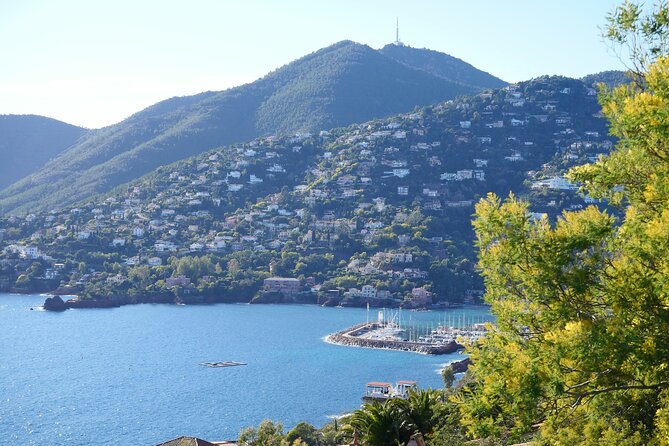 Private Tour from Saint-Tropez to the flowers city - Bormes-les-Mimosas: the two-hour finale