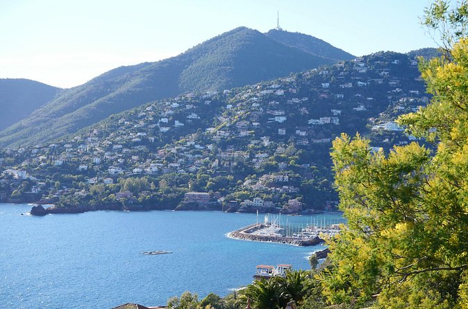 Private Tour from Saint-Tropez to the flowers city - What the $477.67 price really buys