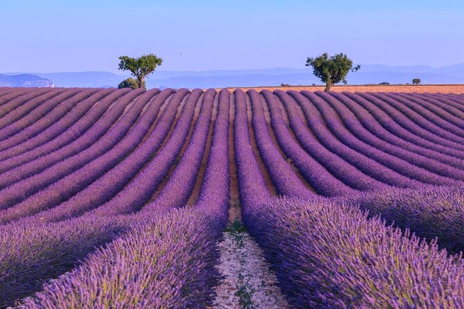 Private Tour of Gorges of Verdon and Fields of Lavender in Nice - From Nice to the turquoise Gorges du Verdon