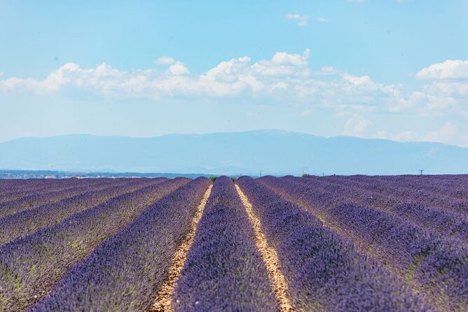 Private Tour of Gorges of Verdon and Fields of Lavender in Nice - Castellane and the first look at the Verdon