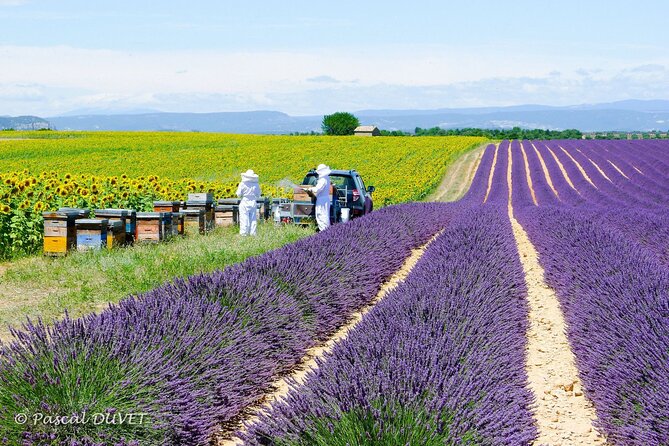 Private Tour of Gorges of Verdon and Fields of Lavender in Nice - Price, timing, and comfort on mountain roads