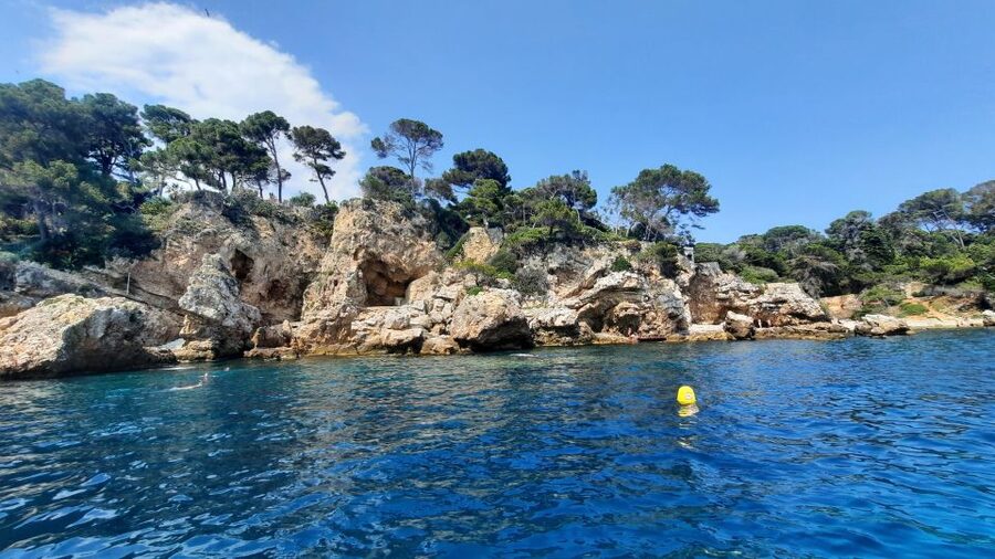 Private tour on a sailboat - Swim and paddle - Antibes Cape - Language, cancellation, and simple planning tips
