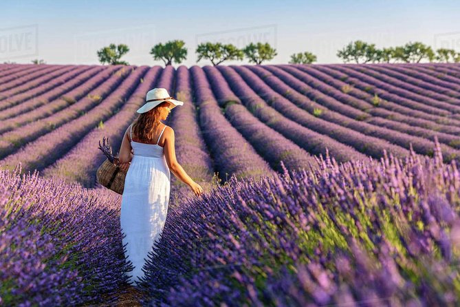Provence and Lavender - private & Guided Full Day Tour - From Nice to the high country of Provence