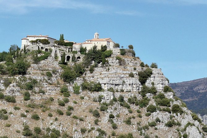 Provence and Lavender - private & Guided Full Day Tour - What the private van adds to the day