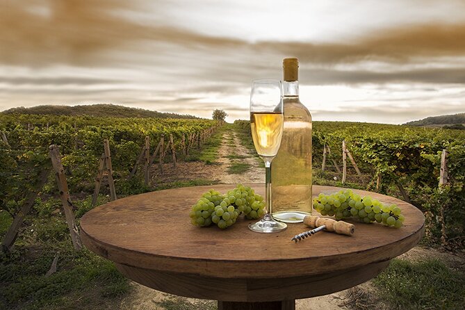 Provence Organic Wine Tasting Half Day Tour from Nice - A short afternoon from Nice into Provence