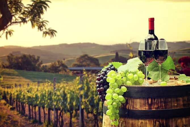 Provence Organic Wine Tasting Half Day Tour from Nice - St-Paul-de-Vence in about an hour