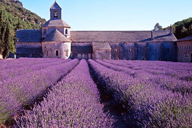 Provence Sea & Countryside Full-Day Private Tour - Antibes combines Picasso, markets, and the port