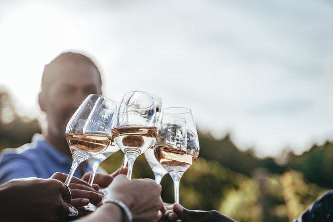 Provence Wine Tour - Private Day Tour from Antibes - A full day in Provence wine country