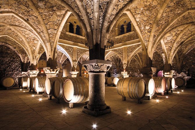 Provence Wine Tour - Private Day Tour from Cannes - Three wineries, one long Provençal day