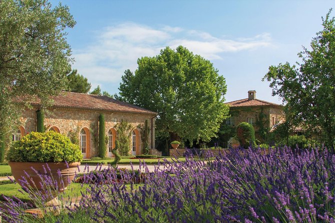 Provence Wine Tour - Private Day Tour from Cannes - Lunch in a village or at a winery