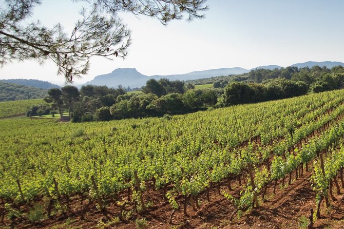 Provence Wine Tour - Private Day Tour from Cannes - Is the $539.22 price worthwhile?