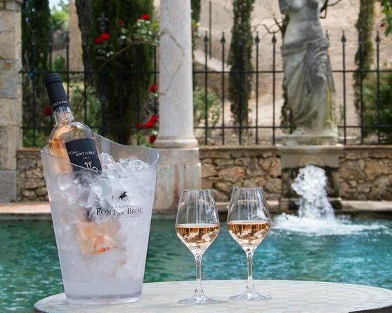 Provence Wine Tour - Private Day Tour from Nice - The day at a glance