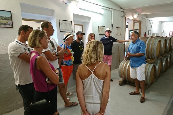 Provence Wine Tour - Private Day Tour from Nice - Lunch in a village or at an estate
