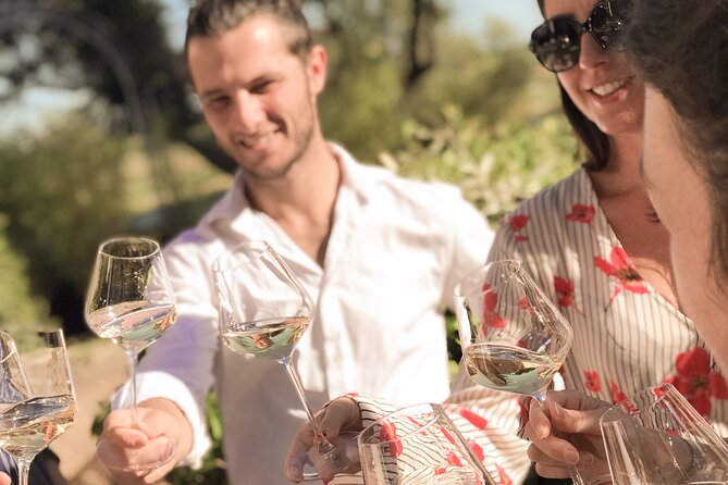 Provence Wine Tour - Small Group Tour from Cannes - The guides make or break a wine day