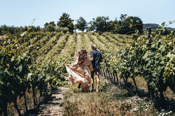 Provence Wine Tour - Small Group Tour from Nice - The Value of the $187.53 Price