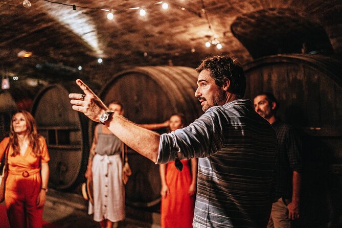 Provence Wine Tour - Small Group Tour from Nice - Who Will Get the Most From This Tour