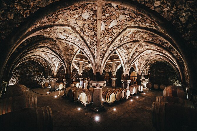 Provence Wine Tour - Small Group Tour from Nice - Practical Details Before You Book