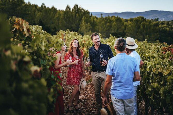 Provence Wine Tour - Small Group Tour from Nice - Should You Book the Provence Wine Tour From Nice?