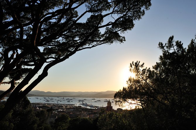 Saint-Tropez and Port Grimaud Day from Nice Small-Group Tour - Who will enjoy this day trip most?