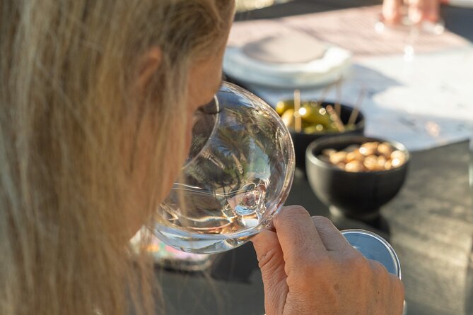 Shared Tour - Wine tour from Saint Tropez - Leaving Saint-Tropez for the vines