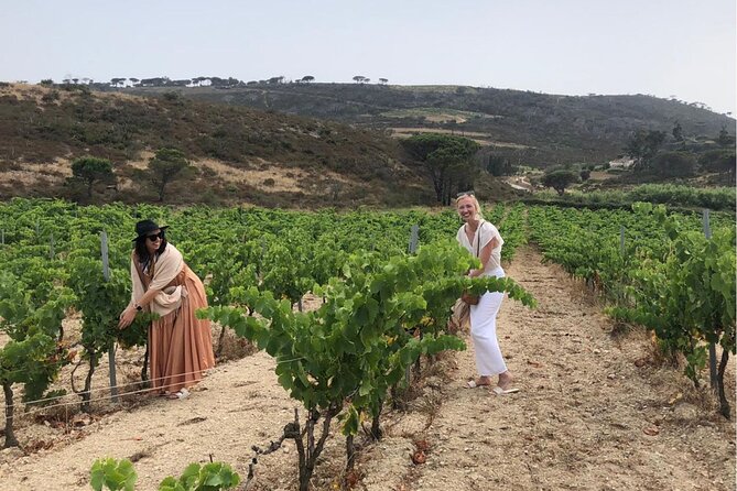 Shared Tour - Wine tour from Saint Tropez - Why the three-hour schedule matters