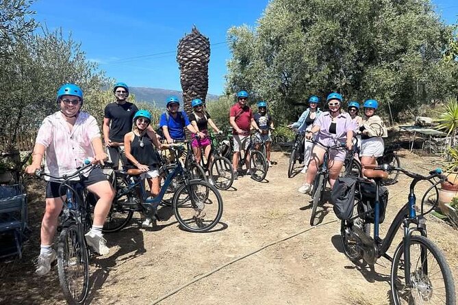 Small Group Guided E-Bike Tour in Nice’s Organic Vineyard - Meeting a Family Winemaker