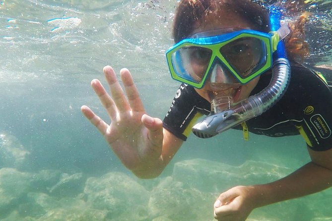 Snorkeling - By boat on site in the Bay of Cannes or Estérel - A useful outing for beginners and families