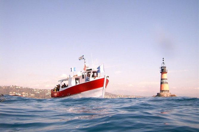 Snorkeling - By boat on site in the Bay of Cannes or Estérel - Timing, transport, and what to bring