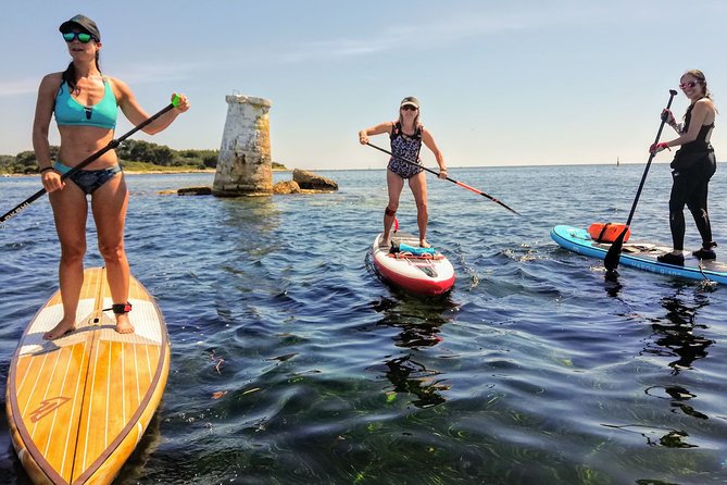 Stand-Up Paddle & Snorkeling with Local Guide near Nice - Key points to know before booking