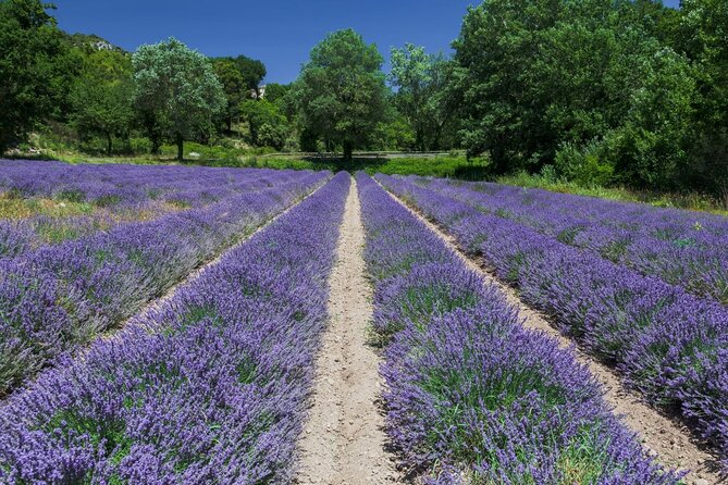 Verdon Canyon and its Lake Full Day Tour - What the $139.03 price includes