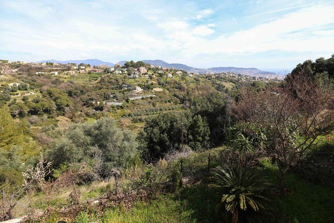 Viator Exclusive: Local Cooking Class & Dinner with View of Nice - Who Will Enjoy This Nice Cooking Class?