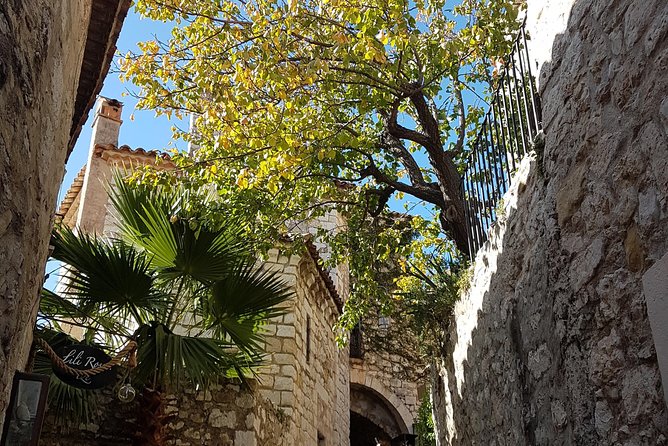 Villefranche Shore Excursion: 6 hrs Private Tour Eze and Monaco - Timing, pickup, and the port-day question