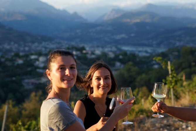 Vineyard Tour with Wine Tasting within Nice city borders - A vineyard above Nice, not a day trip into the countryside