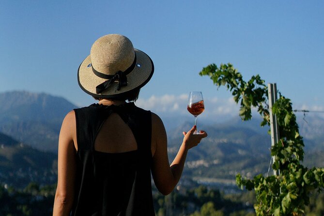 Vineyard Tour with Wine Tasting within Nice city borders - What happens at Chateau de Bellet