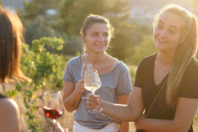 Vineyard Tour with Wine Tasting within Nice city borders - Getting there is the part you need to plan
