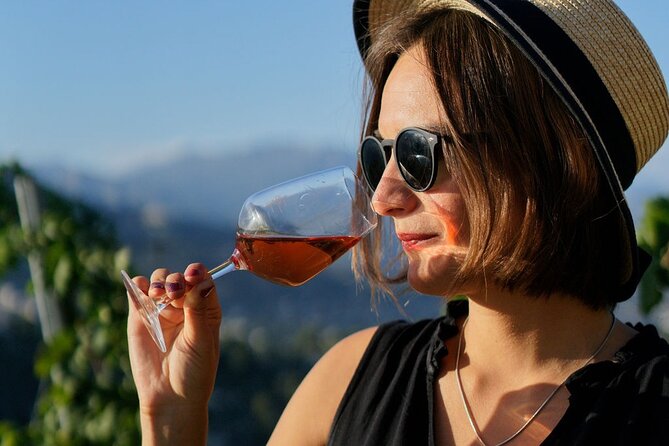 Vineyard Tour with Wine Tasting within Nice city borders - The best time to go