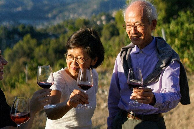 Vineyard Tour with Wine Tasting within Nice city borders - What I would pack and plan before leaving Nice