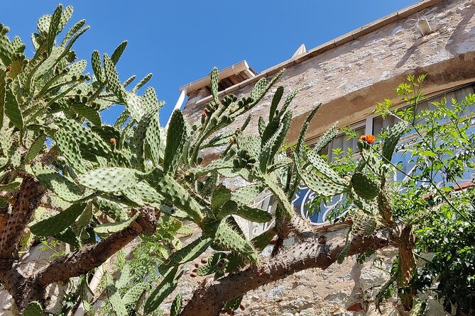 Visit of the Medieval Village of Èze - What the $42.80 price delivers